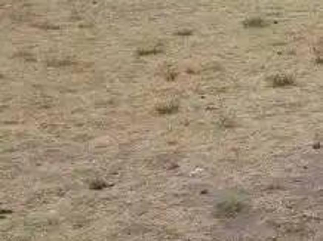 Terreno en Venta en Motril