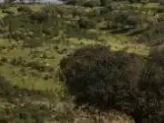 Terreno en Venta en Motril
