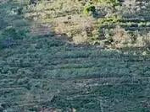 Terreno en Venta en Motril