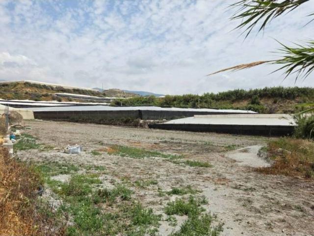 Terreno en Venta en Motril