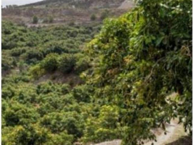 Terreno en Venta en Motril