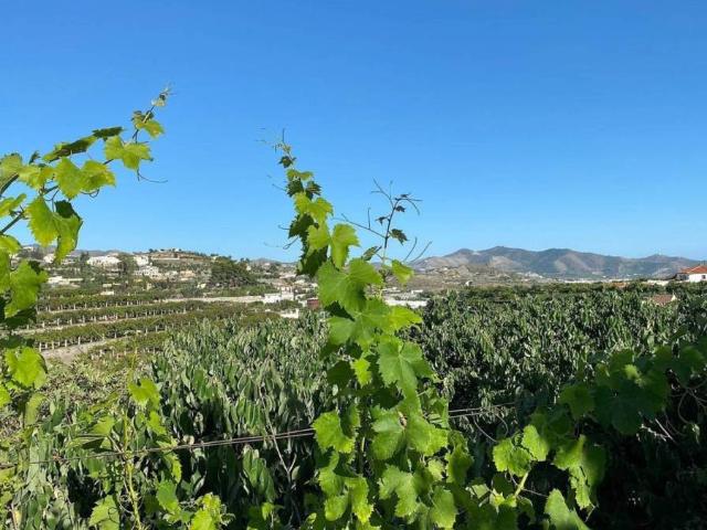 Terreno en Venta en Motril