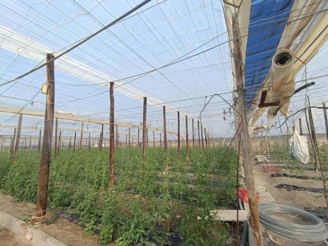 Terreno en Venta en Motril