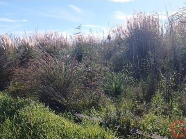 Terreno en Venta en Motril