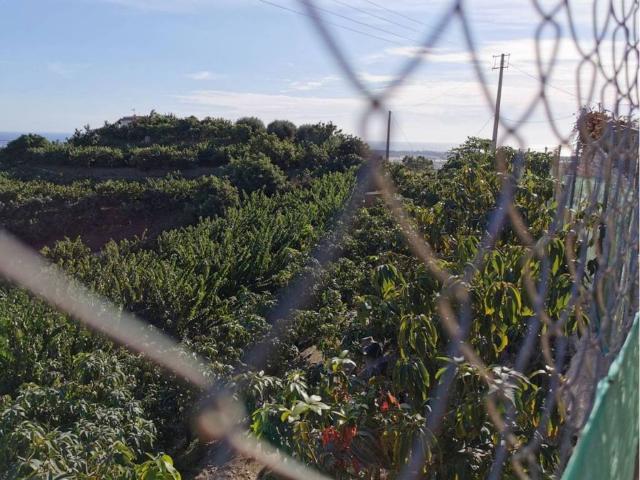 Terreno en Venta en Motril