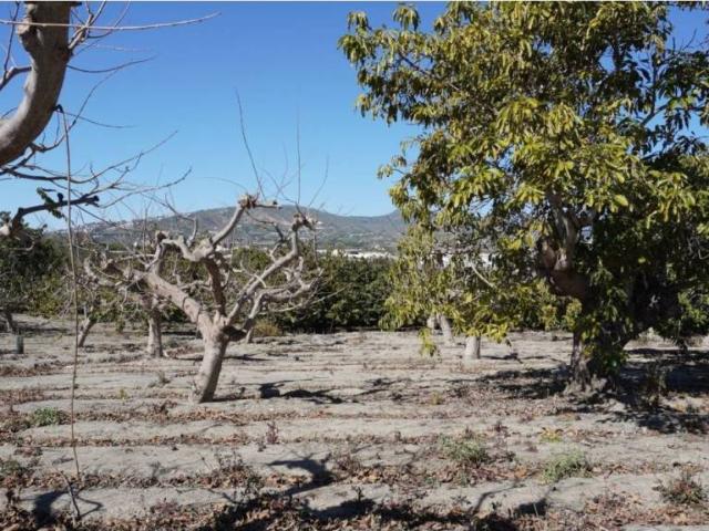 Terreno en Venta en Motril