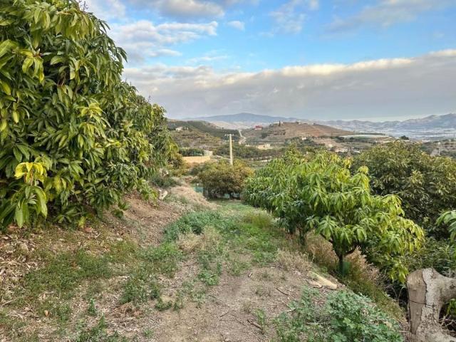Terreno en venta en Motril, Minasierra
