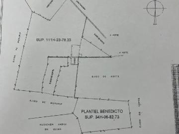 Terreno en Venta, en Motul, Yucatán