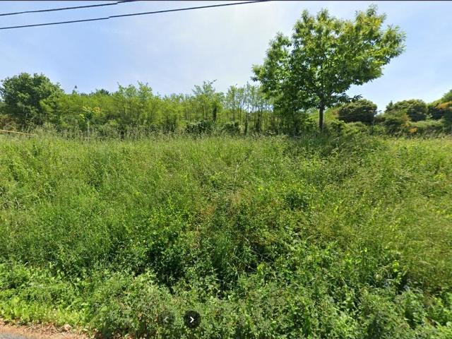 TERRENO EN VENTA EN MOURENTE