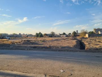 Terreno en venta en Nueva Laguna Sur, Torreón, Coahuila de Zaragoza