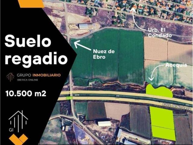 Terreno en Venta en Nuez de Ebro