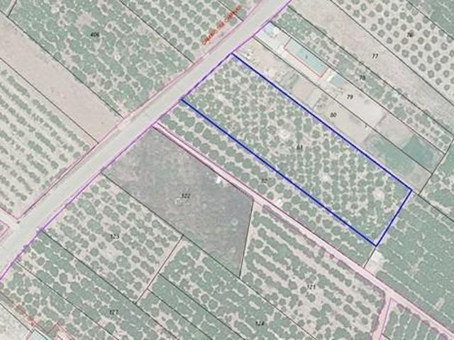 Terreno en venta en Nules, Polig ind. Hortofruticola