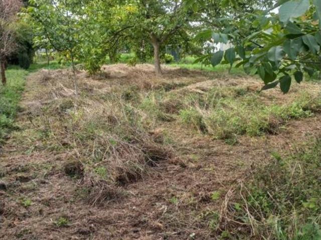 Terreno en Venta en Narón