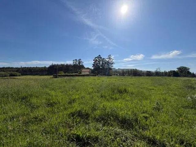 Terreno en Venta en Narón