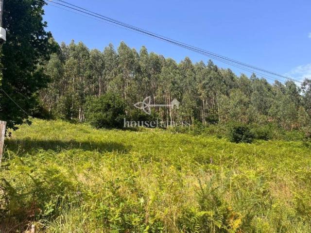 Terreno en Venta en Narón