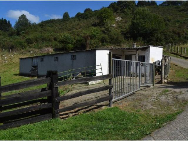 Terreno en Venta en Nava
