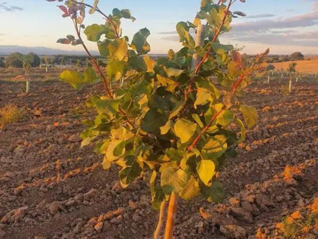 Terreno en Venta en Navalcarnero
