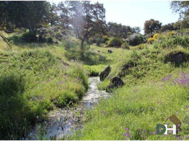 Terreno en Venta en Navalmoral de la Mata