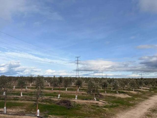Terreno en Venta en Navalmoral de la Mata