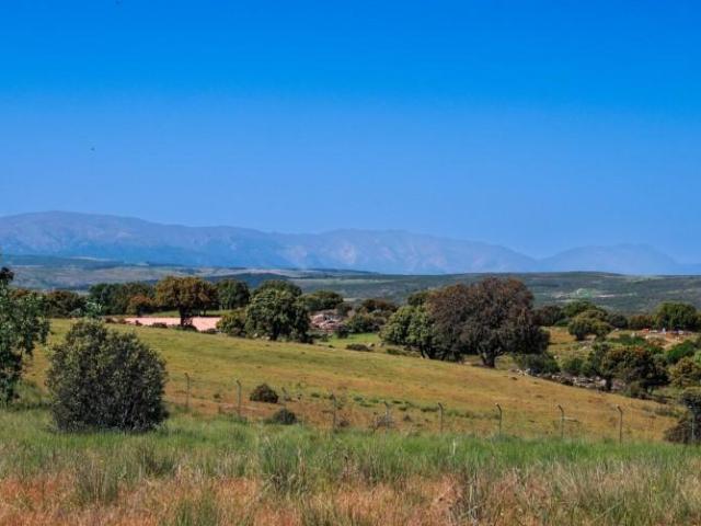 Terreno en venta en Navalperal de Pinares, Castilla y leon