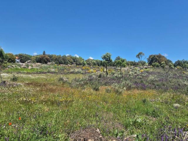 Terreno en Venta en Navaluenga
