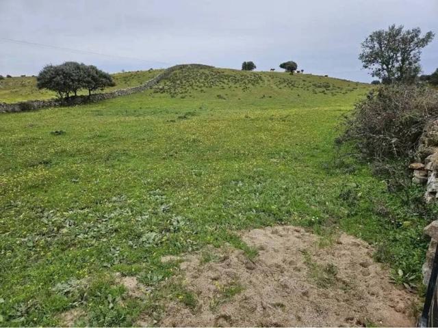Terreno en Venta en Navas del Madroño