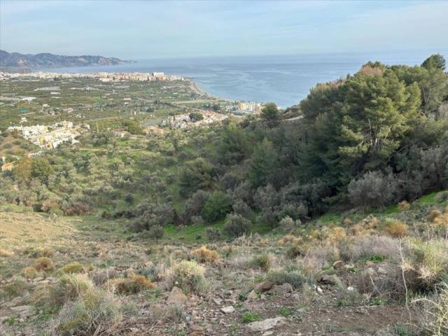 Terreno en Venta en Nerja