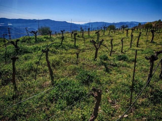Terreno en Venta en Nevada