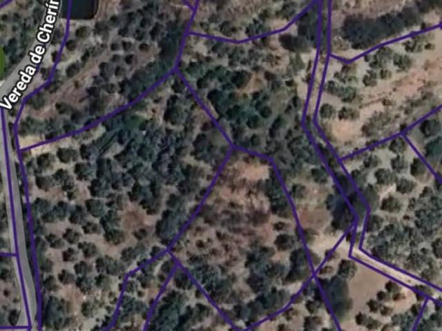Terreno en Venta en Nevada