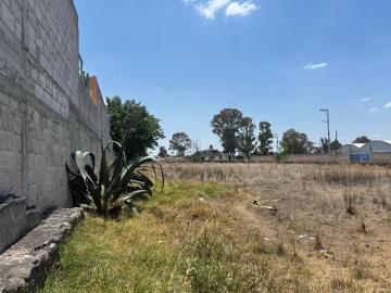 TERRENO EN VENTA EN NICOLAS BRAVO, POLOTITLAN ESTADO DE MEXICO
