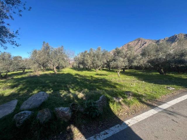 Terreno en Venta en Nigüelas