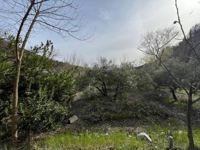 Terreno en Venta en Nigüelas