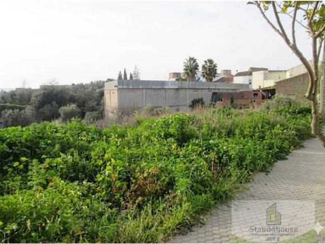 Terreno en Venta en Niebla