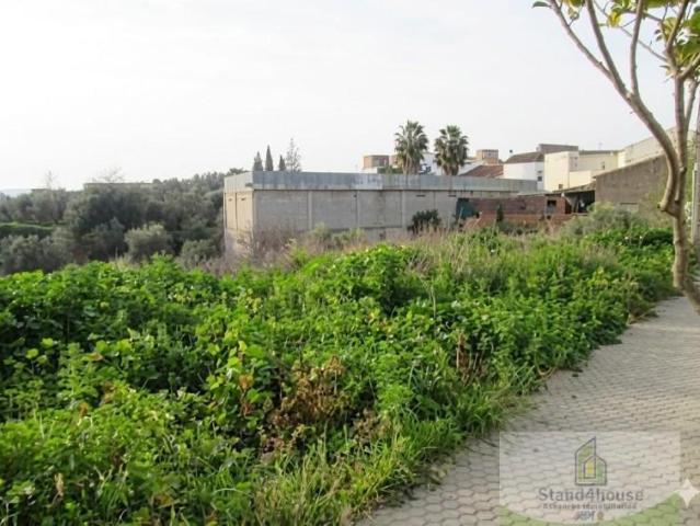 Terreno en venta en Niebla, Niebla