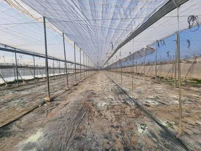 Terreno en Venta en Níjar