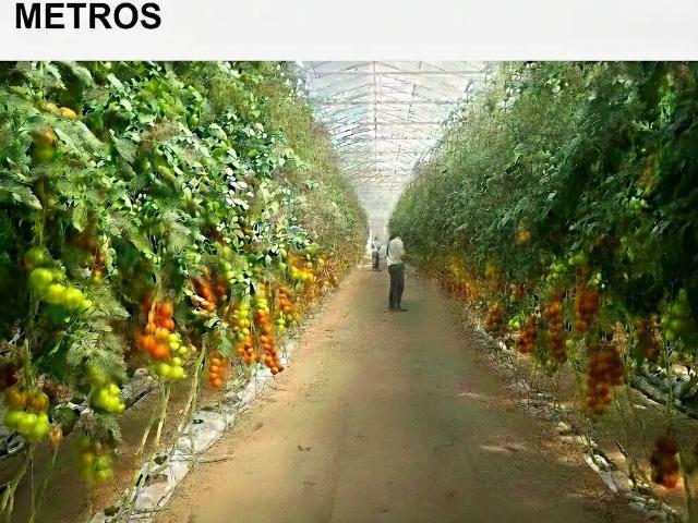 Terreno en Venta en Níjar
