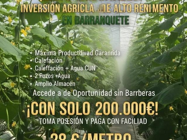 Terreno en Venta en Níjar