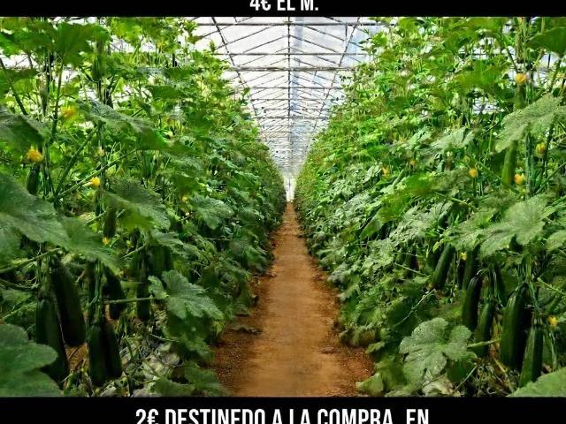 Terreno en Venta en Níjar