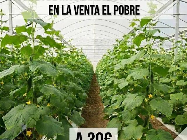 Terreno en Venta en Níjar