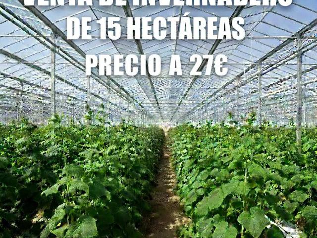 Terreno en Venta en Níjar