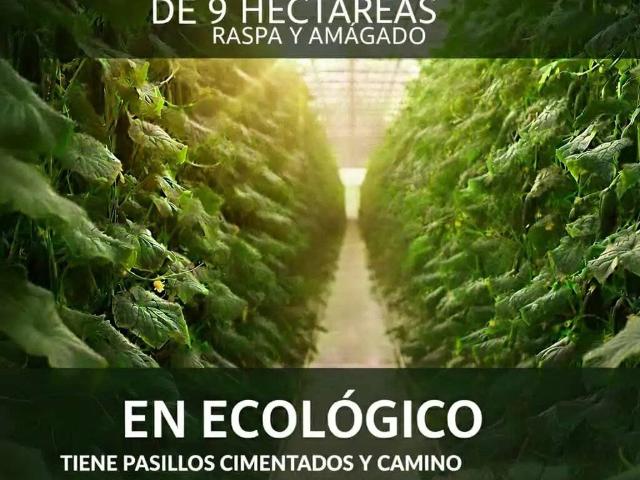 Terreno en Venta en Níjar