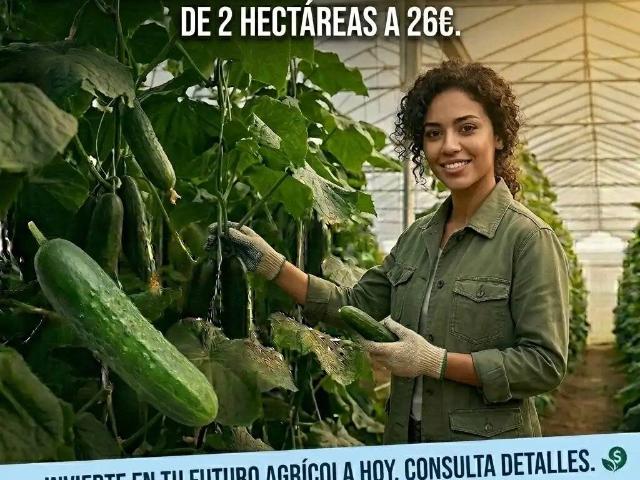 Terreno en Venta en Níjar