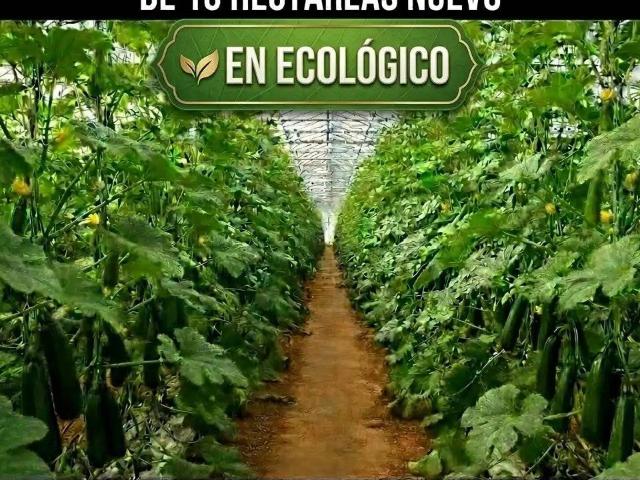 Terreno en Venta en Níjar