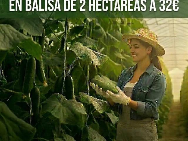 Terreno en Venta en Níjar