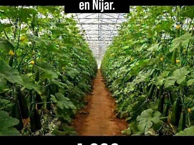 Terreno en Venta en Níjar