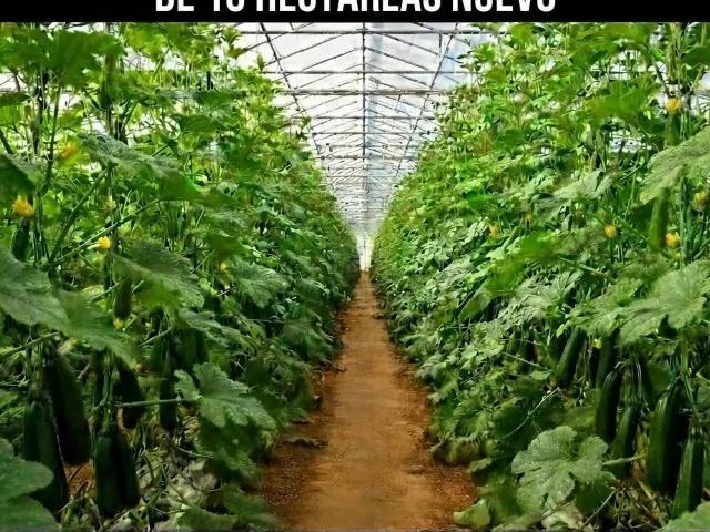 Terreno en Venta en Níjar