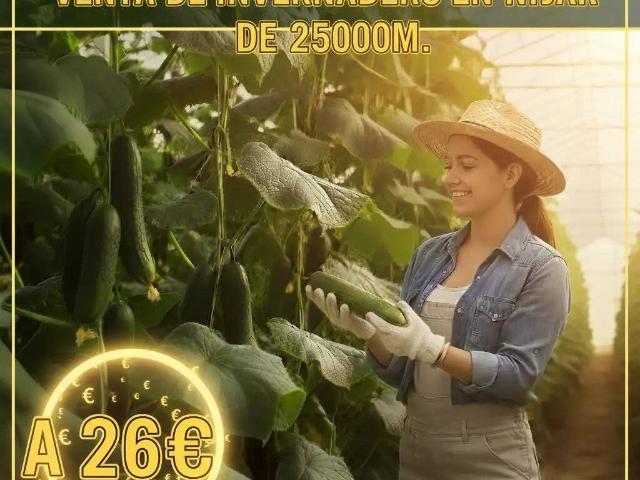 Terreno en Venta en Níjar