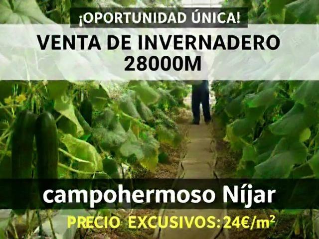 Terreno en Venta en Níjar