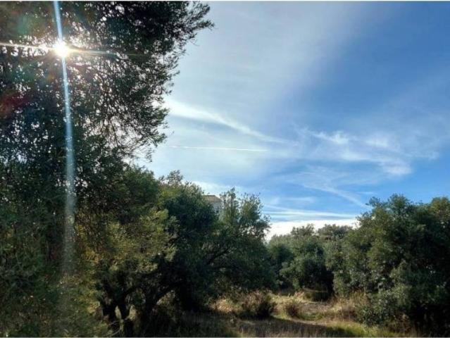 Terreno en Venta en Nívar