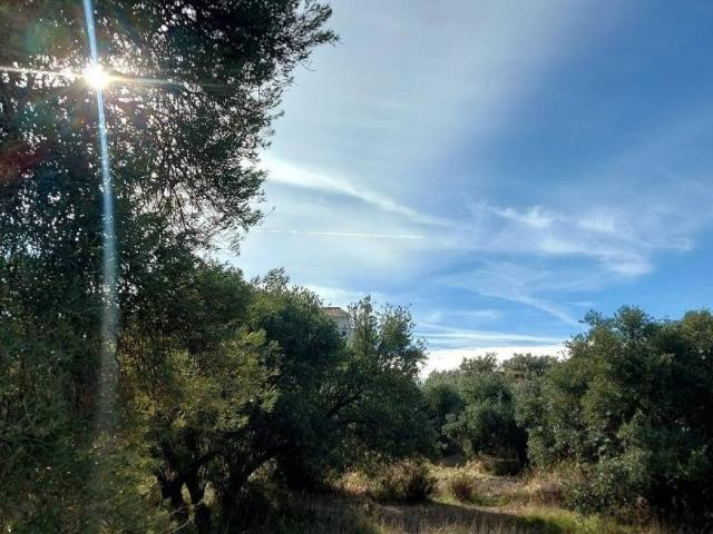 Terreno en Venta en Nívar